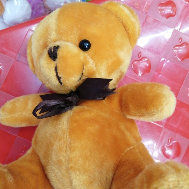 毛绒玩具绣脚熊细节图