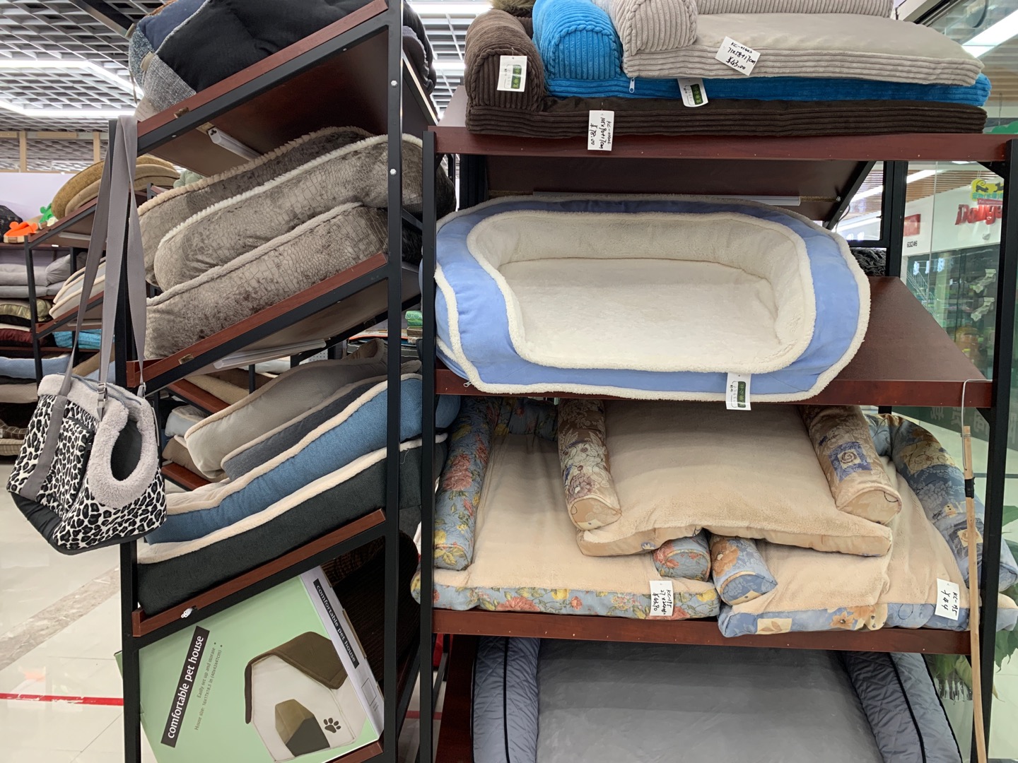 Pet Commune describe pic - 2