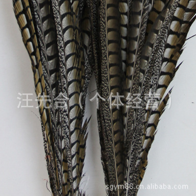 厂家直销铜鸡尾尺寸齐全.天然羽毛环保颜色多种色彩靓丽。产品图