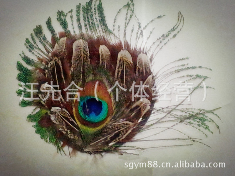 羽毛胸花 粘花头扣，用于舞台道具，服饰搭配等