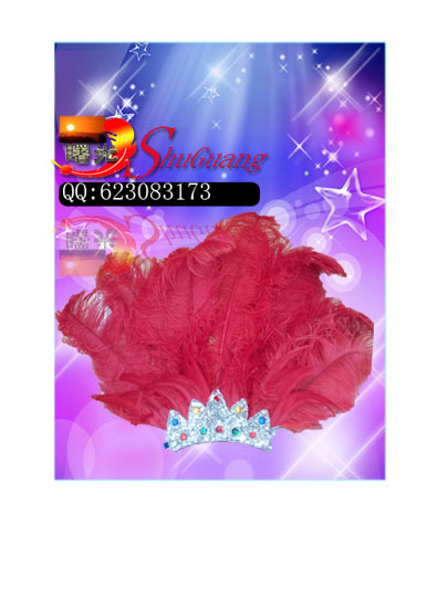 鸵鸟毛头带 ，多色定做，给你新的视觉感受，心灵的震撼。产品图