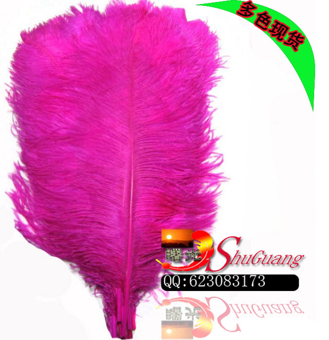 鸵鸟毛 45-50公分的 不等尺寸 颜色自选 用于舞台，服装，细节图