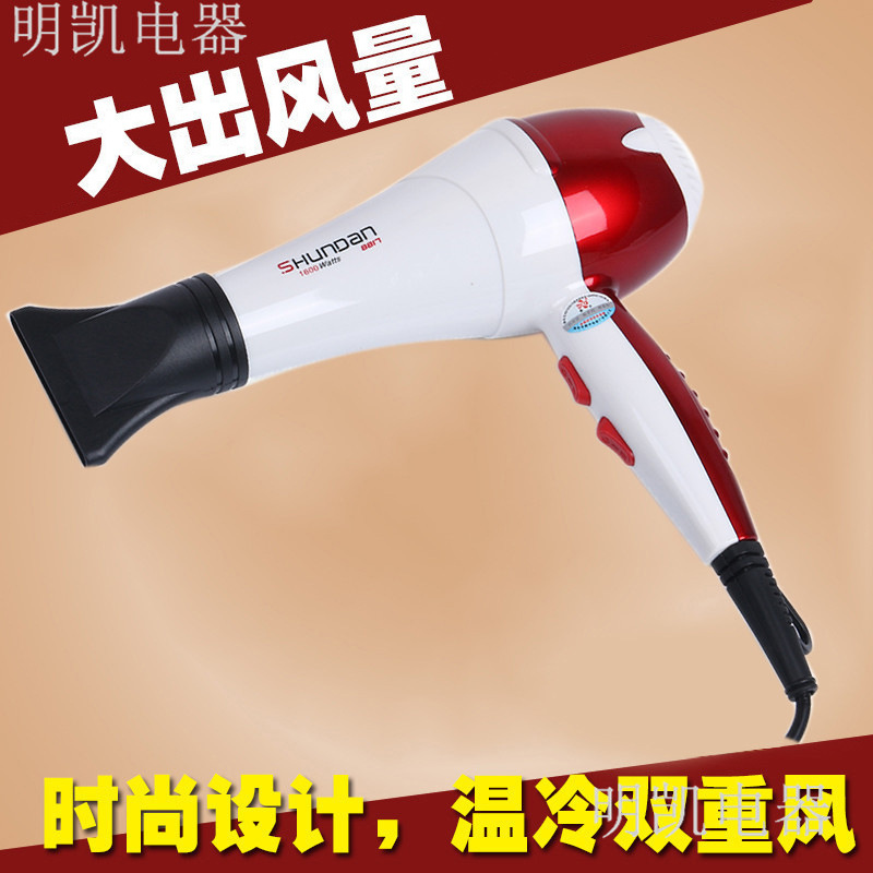 家用电器四档冷热风电吹风 尼龙外壳时尚外观吹风机顺丹8817