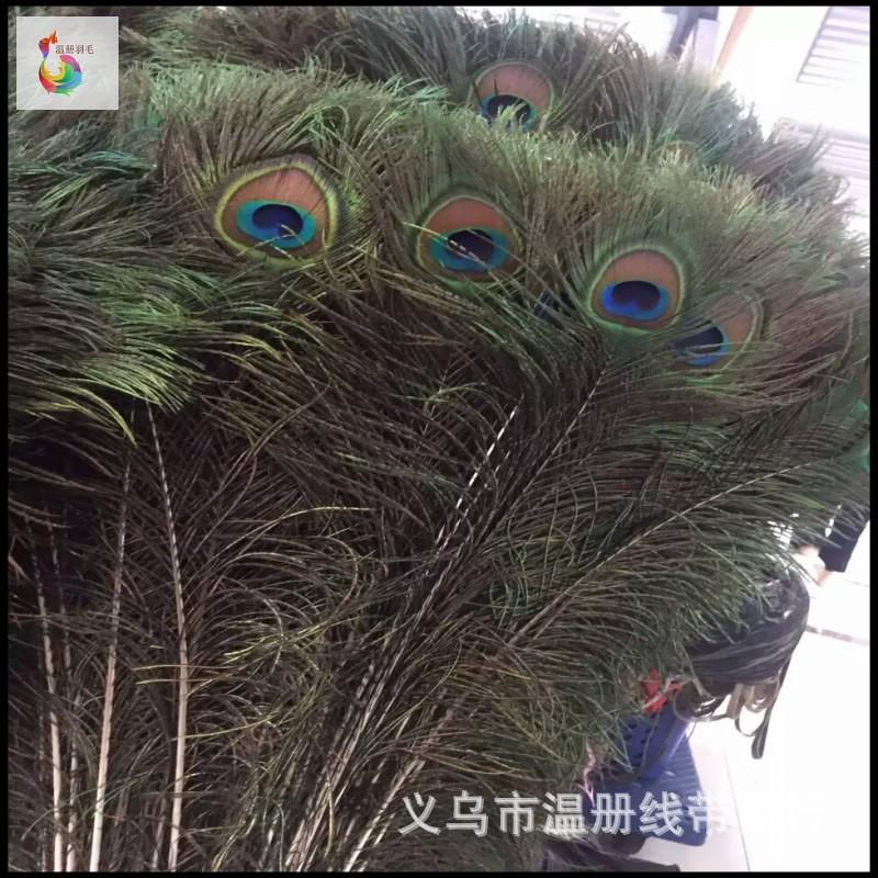 温册羽毛现货大量销售孔雀毛70-80cm印度天然兰孔雀开屏尾加长产品图