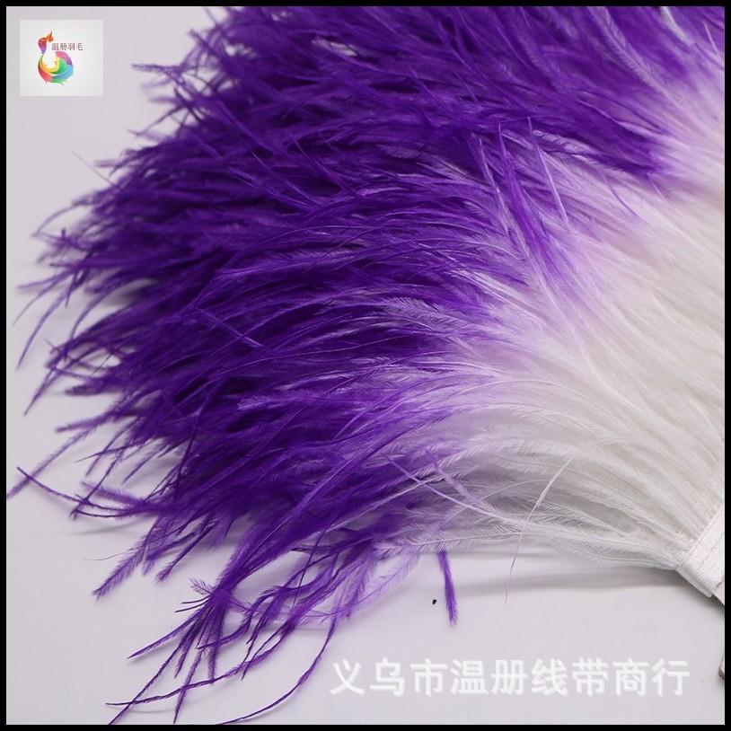义乌厂家现货销售舞台演出服配饰裙边双色紫加白鸵鸟毛丝带装饰白底实物图