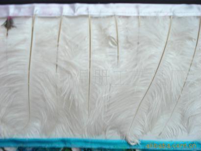 温册羽毛厂家定制原支小鸵鸟毛布边服装裙摆装饰小羽毛100码起