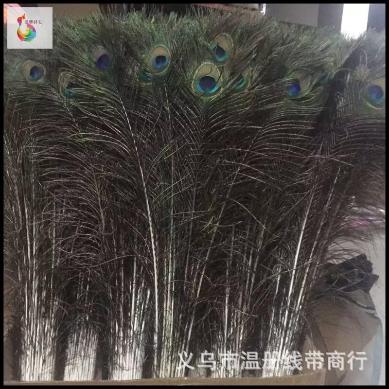 温册羽毛现货大量销售孔雀毛70-80cm印度天然兰孔雀开屏尾加长细节图