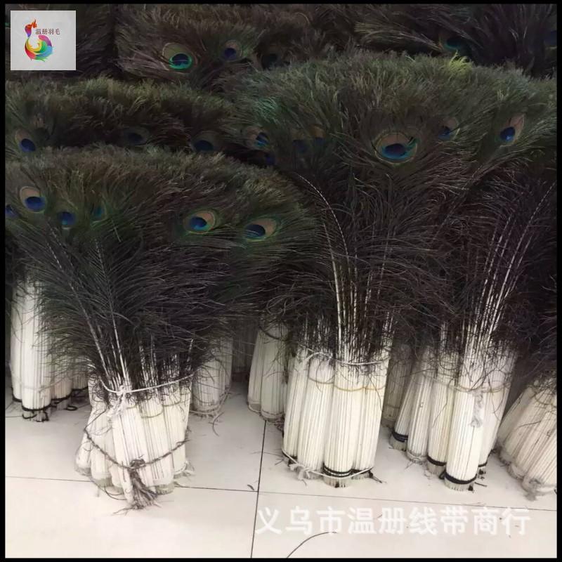 羽毛、羽绒实物图