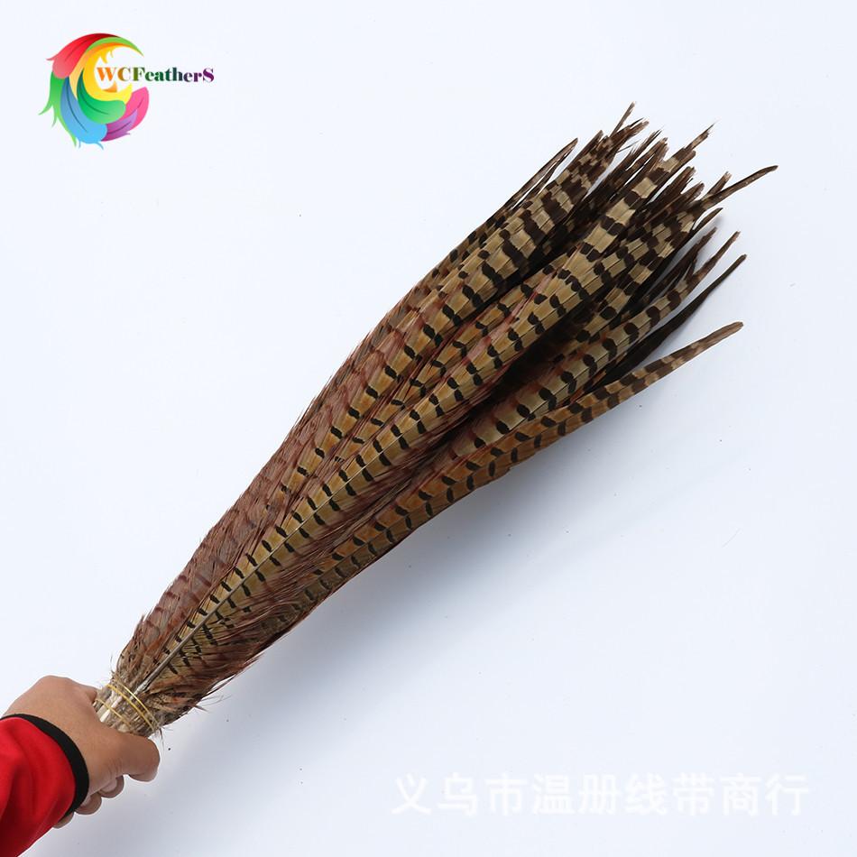 温册羽毛 厂家直销15-65cm天然山鸡尾七彩山鸡舞台演出剧组专用白底实物图