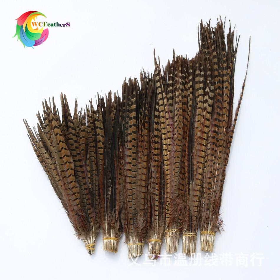 温册羽毛 厂家直销15-65cm天然山鸡尾七彩山鸡舞台演出剧组专用