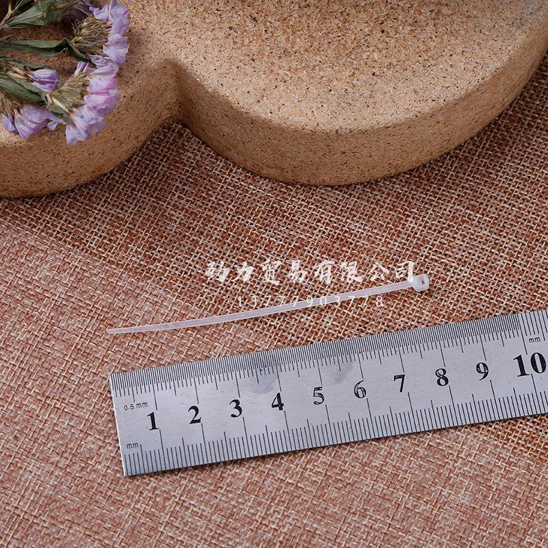 Nylon cable ties 3*80 self-locking nylon cable ties, silicone harmless cable ties, data cable ties details Picture