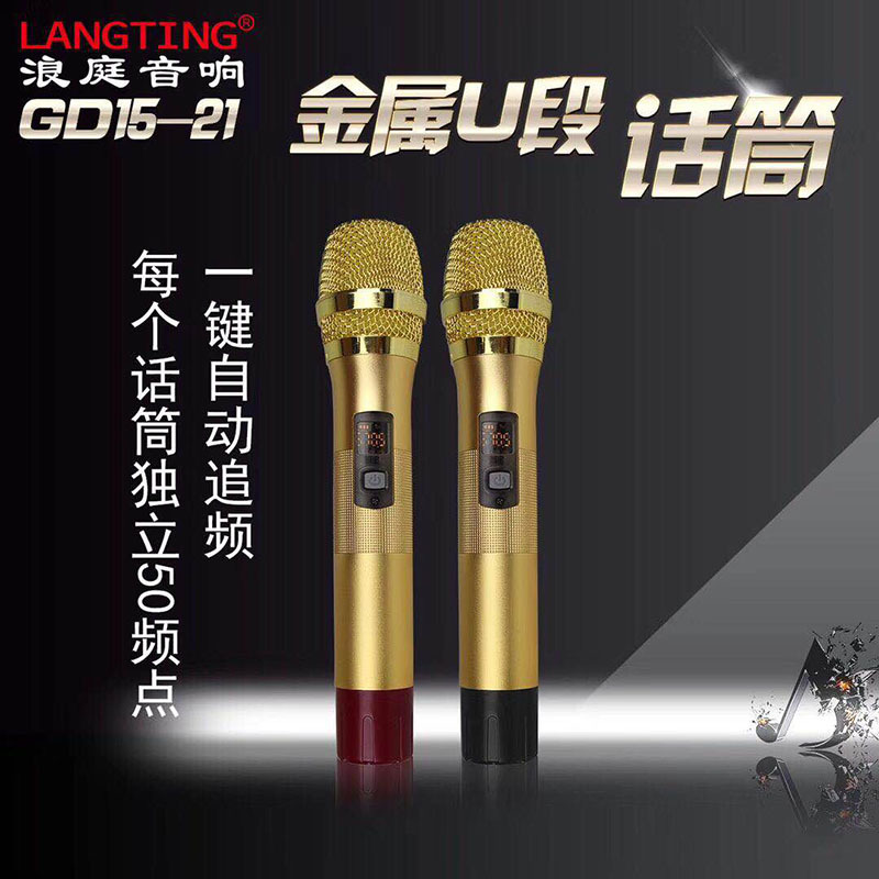 Langting Outdoor square Dance high-power speaker, three-band wireless dual microphone event live streaming karaoke sound system Application Scenario