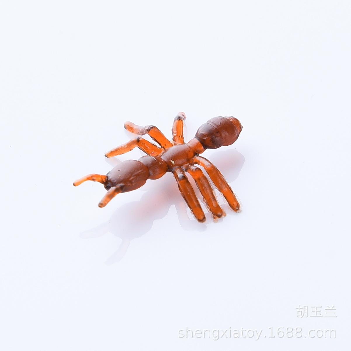 场地布置道具实物图