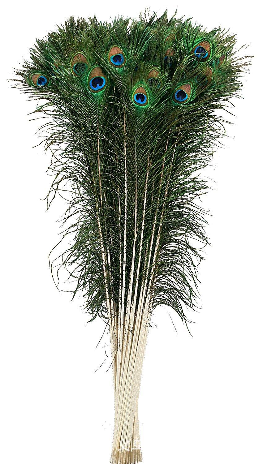 温册羽毛现货大量销售孔雀毛70-80cm印度天然兰孔雀开屏尾加长