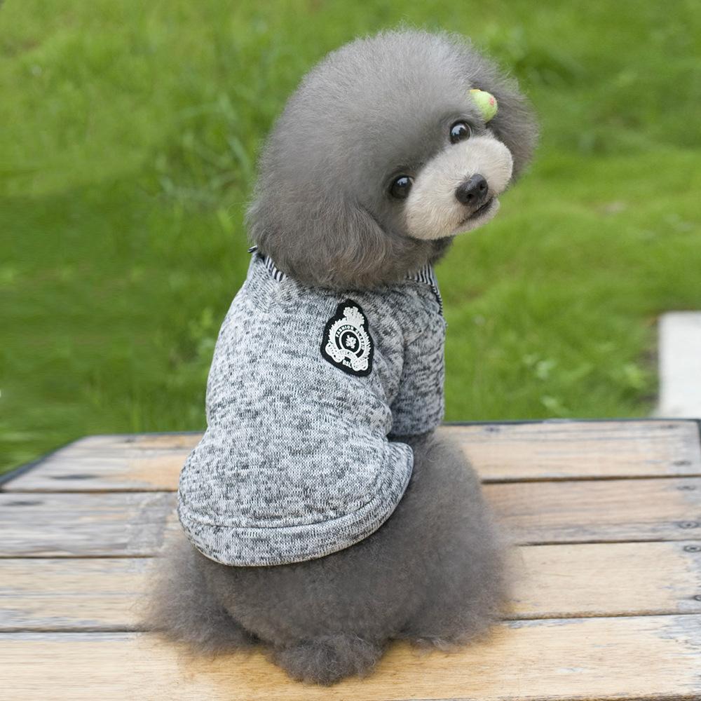 Pet supplies, pet clothing manufacturer wholesale spring and autumn Korean-style lapel two-leg hoodies, fleece hoodies, dog clothes Application Scenario