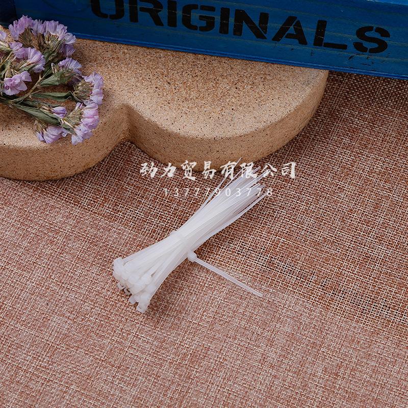 Nylon cable ties 3*80 self-locking nylon cable ties, silicone harmless cable ties, data cable ties Application Scenario