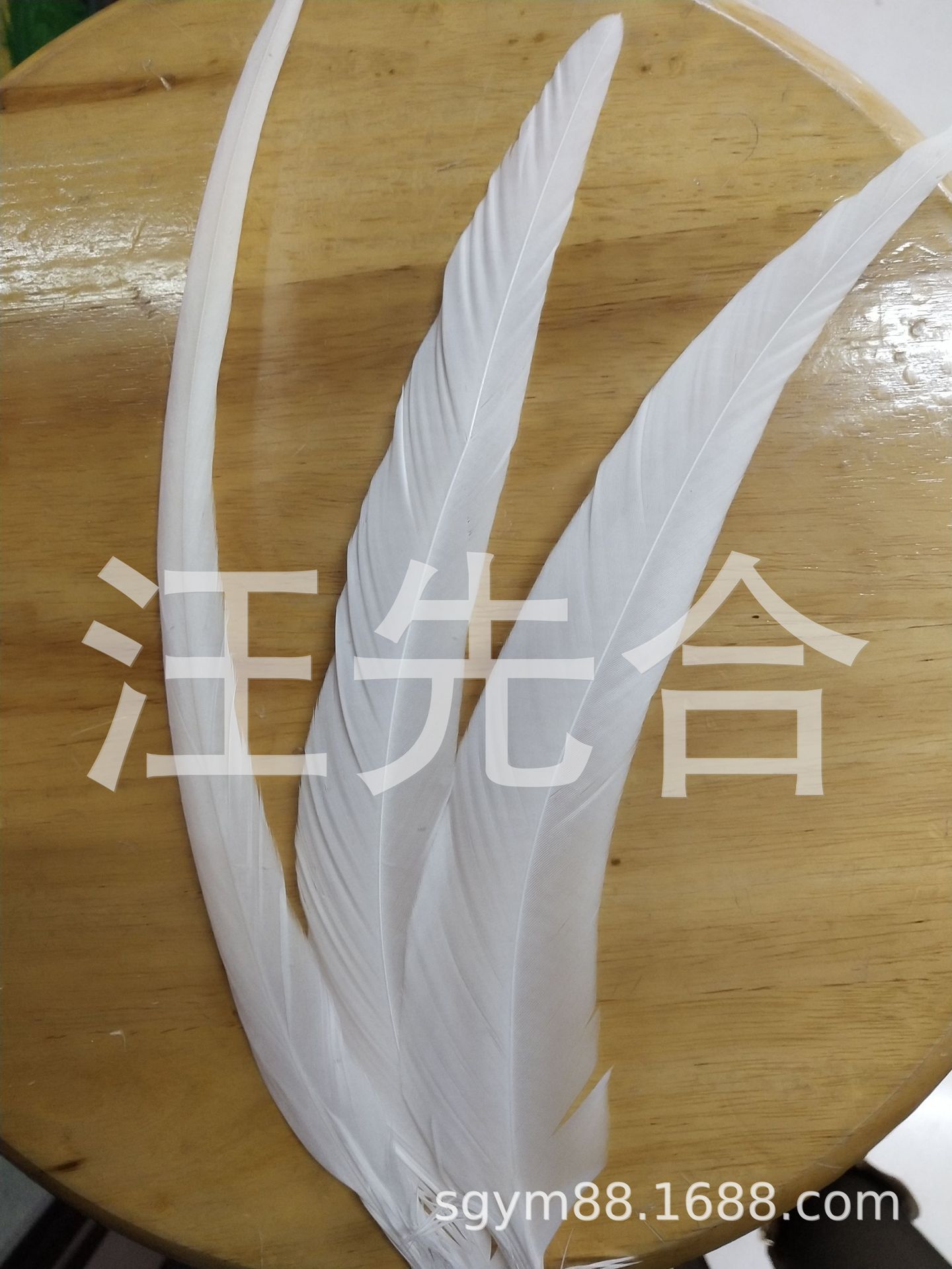 厂家直销白色鸡尾20-30公分 多色可染 舞台演出配饰