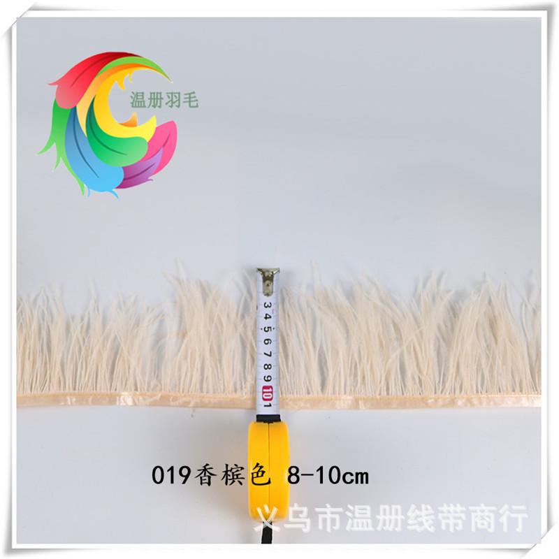 温册羽毛满邮鸵鸟毛布边8-10cm羽毛布带服装辅料10米起拍1号藕粉详情图9