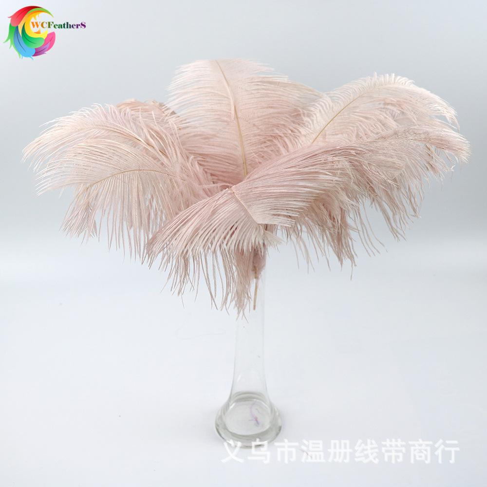 温册羽毛厂家直销婚庆鸵鸟毛舞台羽毛插花羽毛定染各色大毛花羽毛