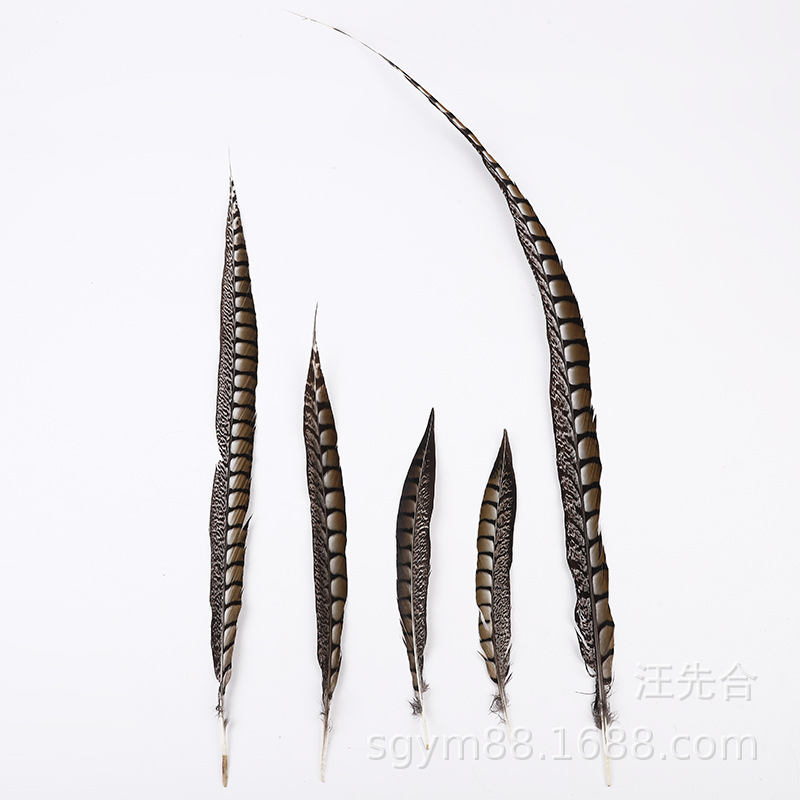 厂家直销铜鸡尾尺寸齐全.天然羽毛环保颜色多种色彩靓丽。白底实物图