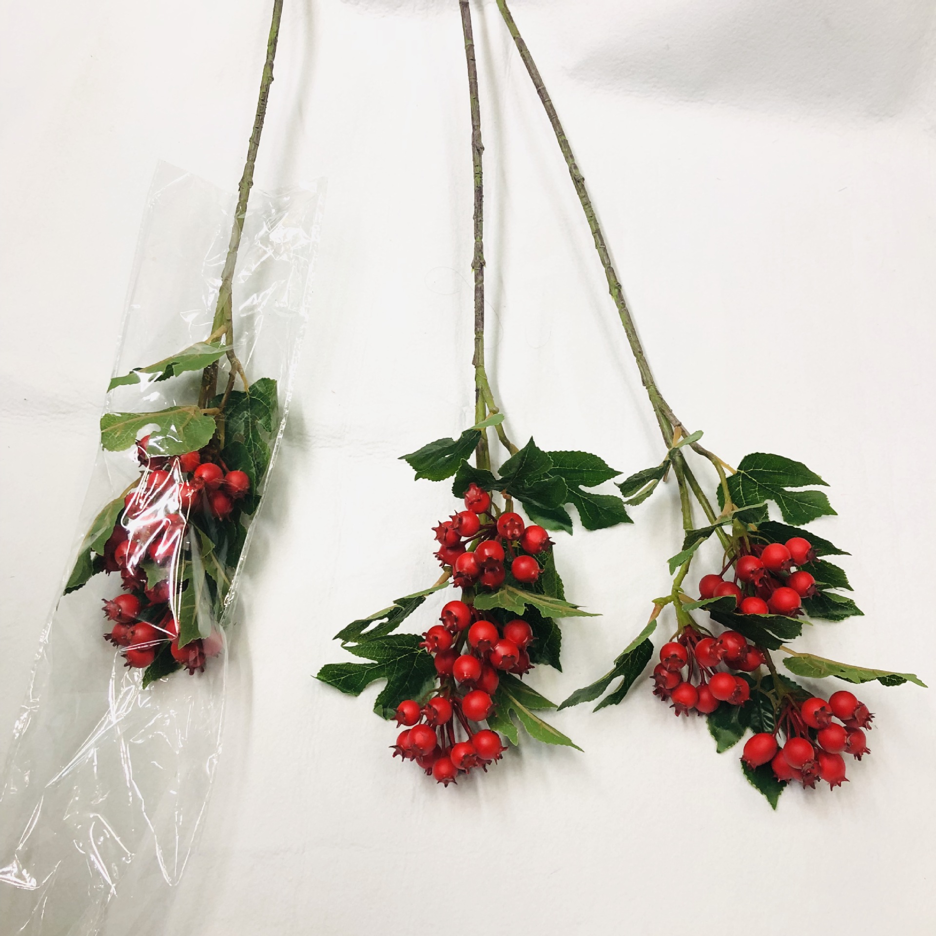 Simulated red fruit single branch, high-fidelity hawthorn branch, foam chili, busy mango, berry, loquat tree branch, simulated pomegranate details Picture