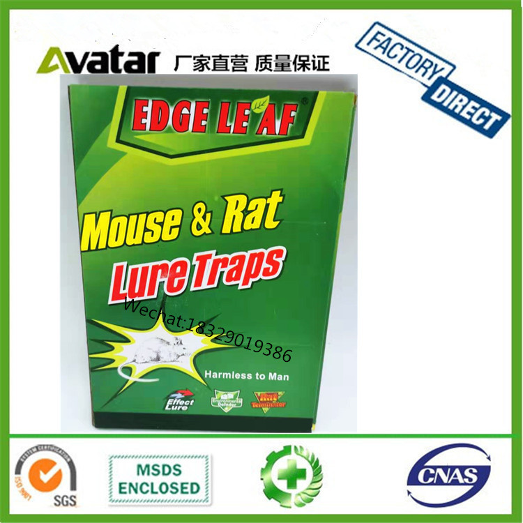 源头厂家直销EDGE LEAF 老鼠胶 老鼠贴 老鼠粘 老鼠板 沙特热销塑料片老鼠板图