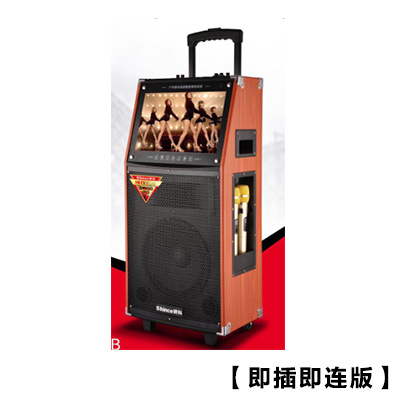 Shinco/ Xinke Square Dance speaker with display screen, square dance pull rod, video and audio system, outdoor home use undefined