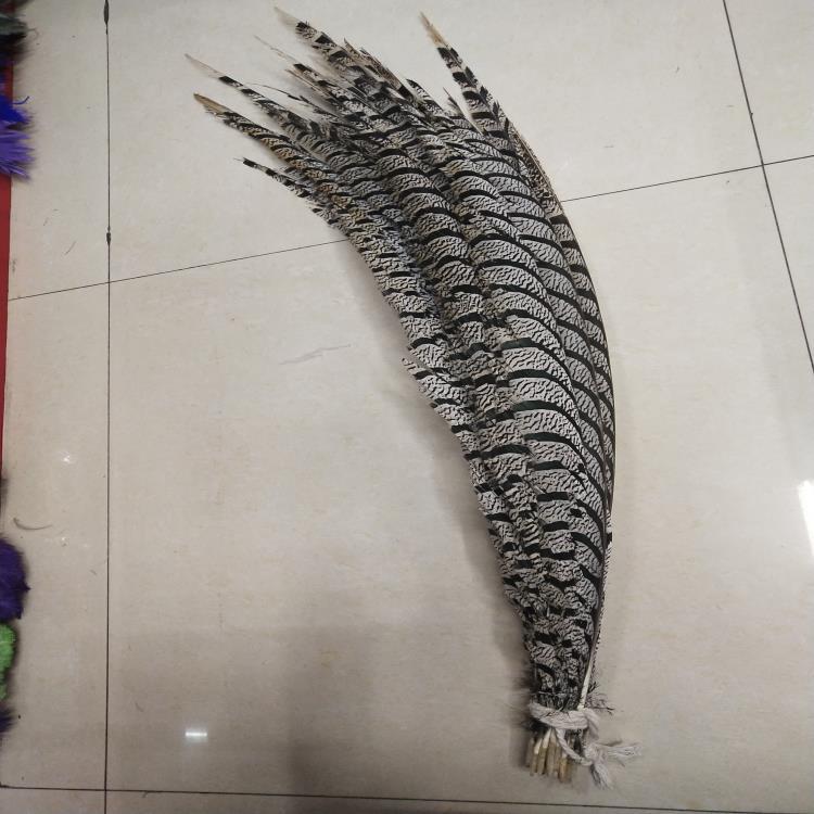 厂家直销羽毛铜鸡盖尾 90-1米公分 多色现货