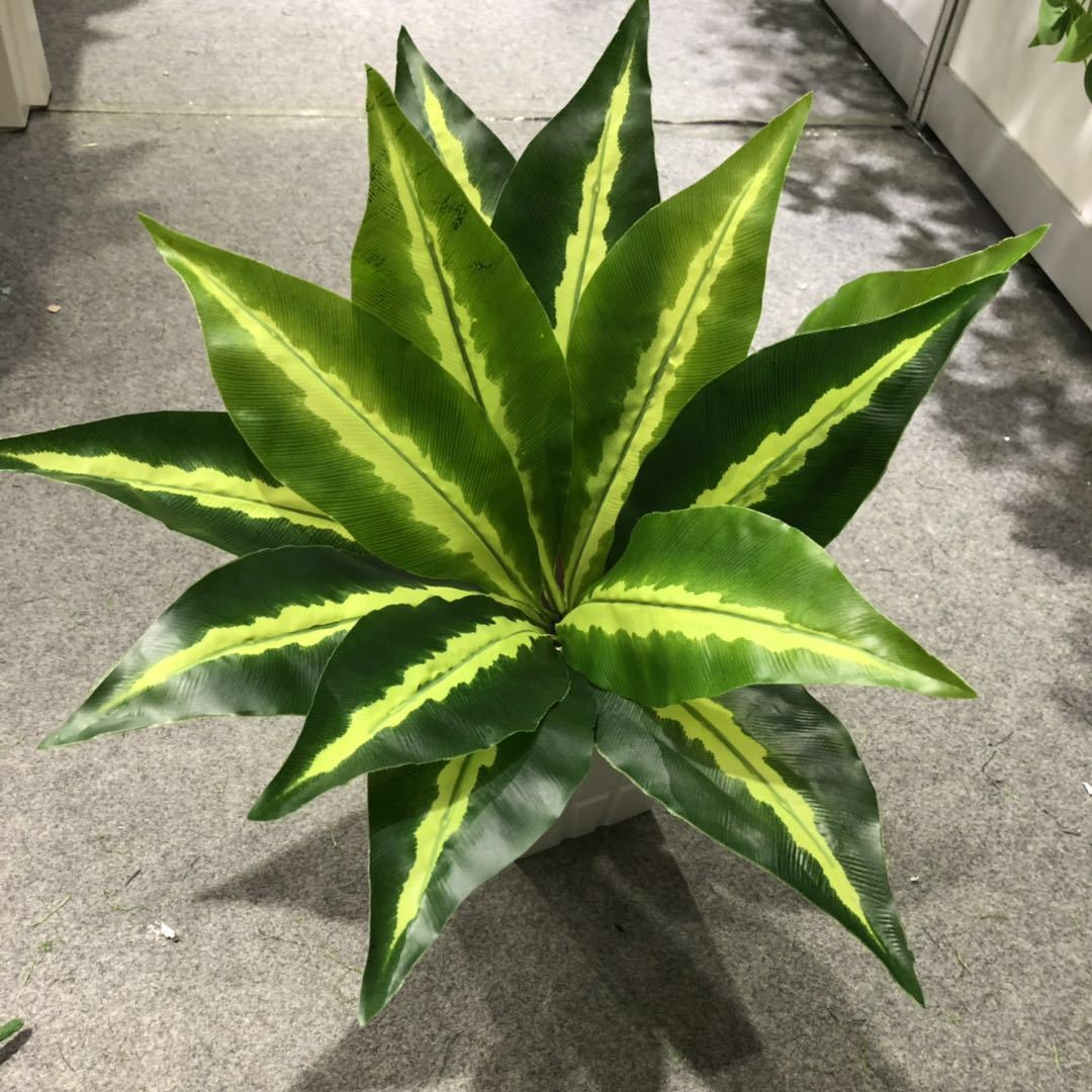 DIY artificial bird's nest fern, magnolia leaf, artificial plant wall accessories, small bonsai, green plants, hand-felt leaves, Brazilian wood Application Scenario