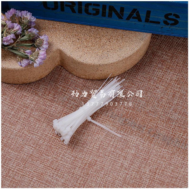 Nylon cable ties 3*80 self-locking nylon cable ties, silicone harmless cable ties, data cable ties Item Picture