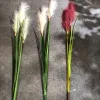 Bionic reed, pink muhly grass, sunny grass, indoor decorative green plants, potted plants, simulation plants, wedding props, decorative dogtail grass Specification image