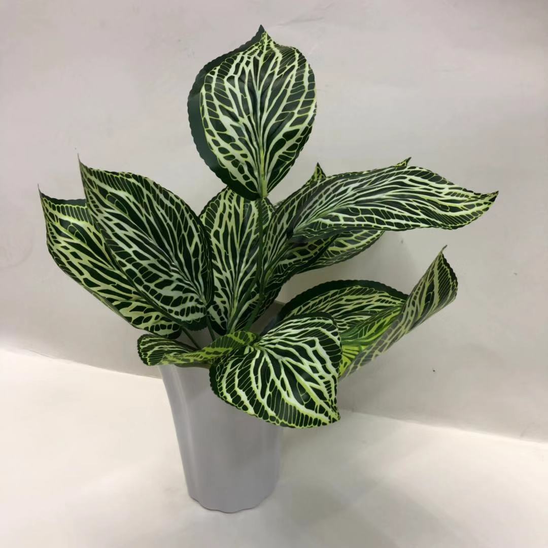 Simulated bird's nest fern, magnolia leaf, simulated plant wall accessories, DIW small bonsai, green plants, hand-felt leaves, Brazilian wood details Picture