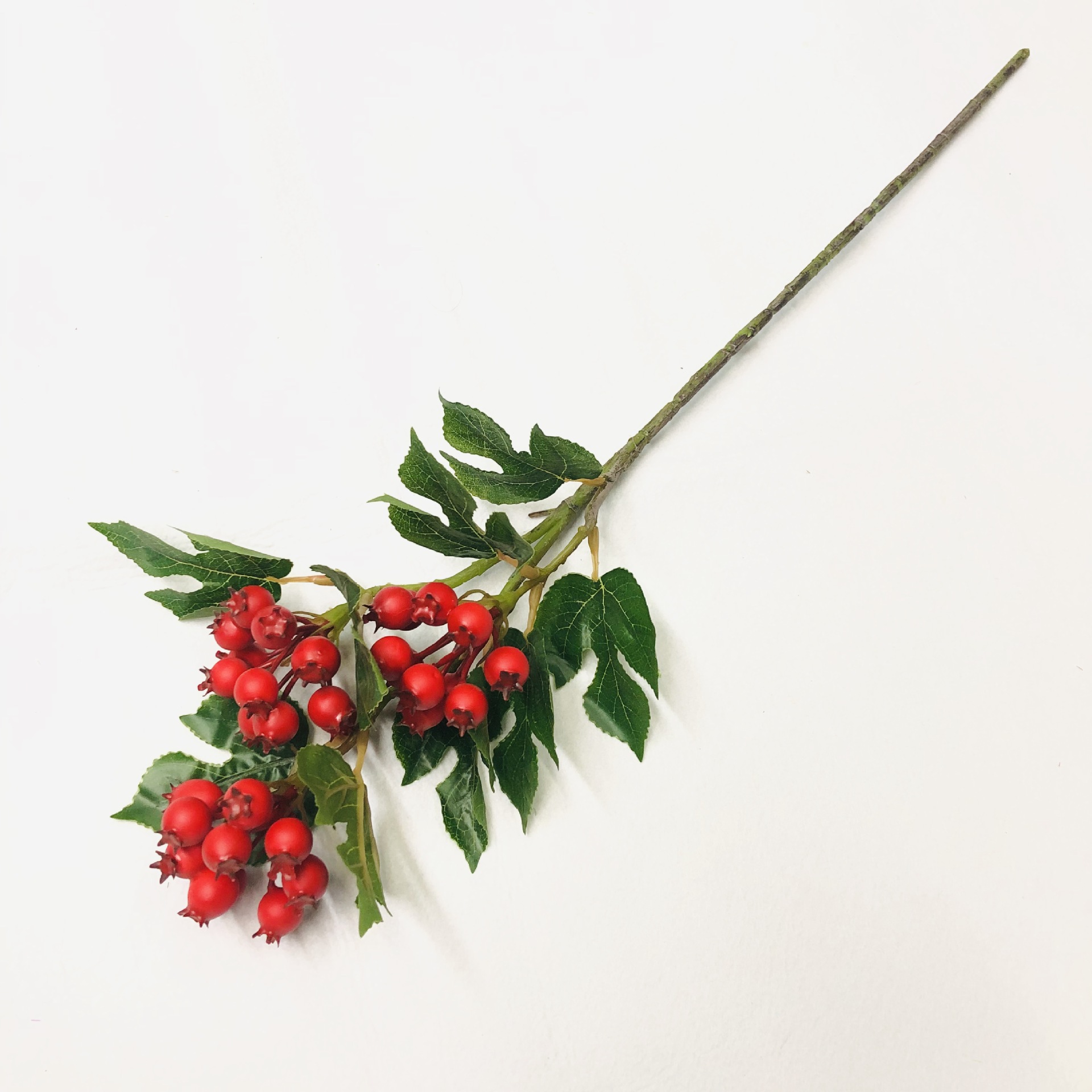 Simulated red fruit single branch, high-fidelity hawthorn branch, foam chili, busy mango, berry, loquat tree branch, simulated pomegranate Specification image