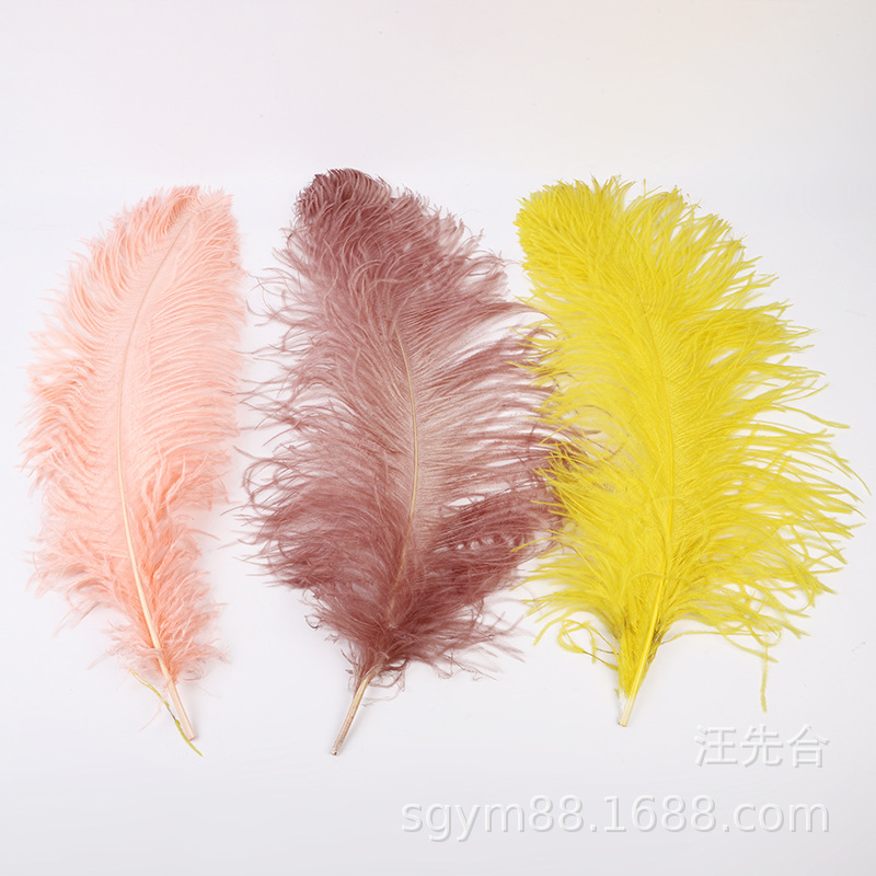 鸵鸟毛 45-50公分的 不等尺寸 颜色自选 用于舞台，服装，产品图