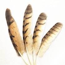 Leopard feather feather feather feather nest blade feather 25-30 30-35 cm