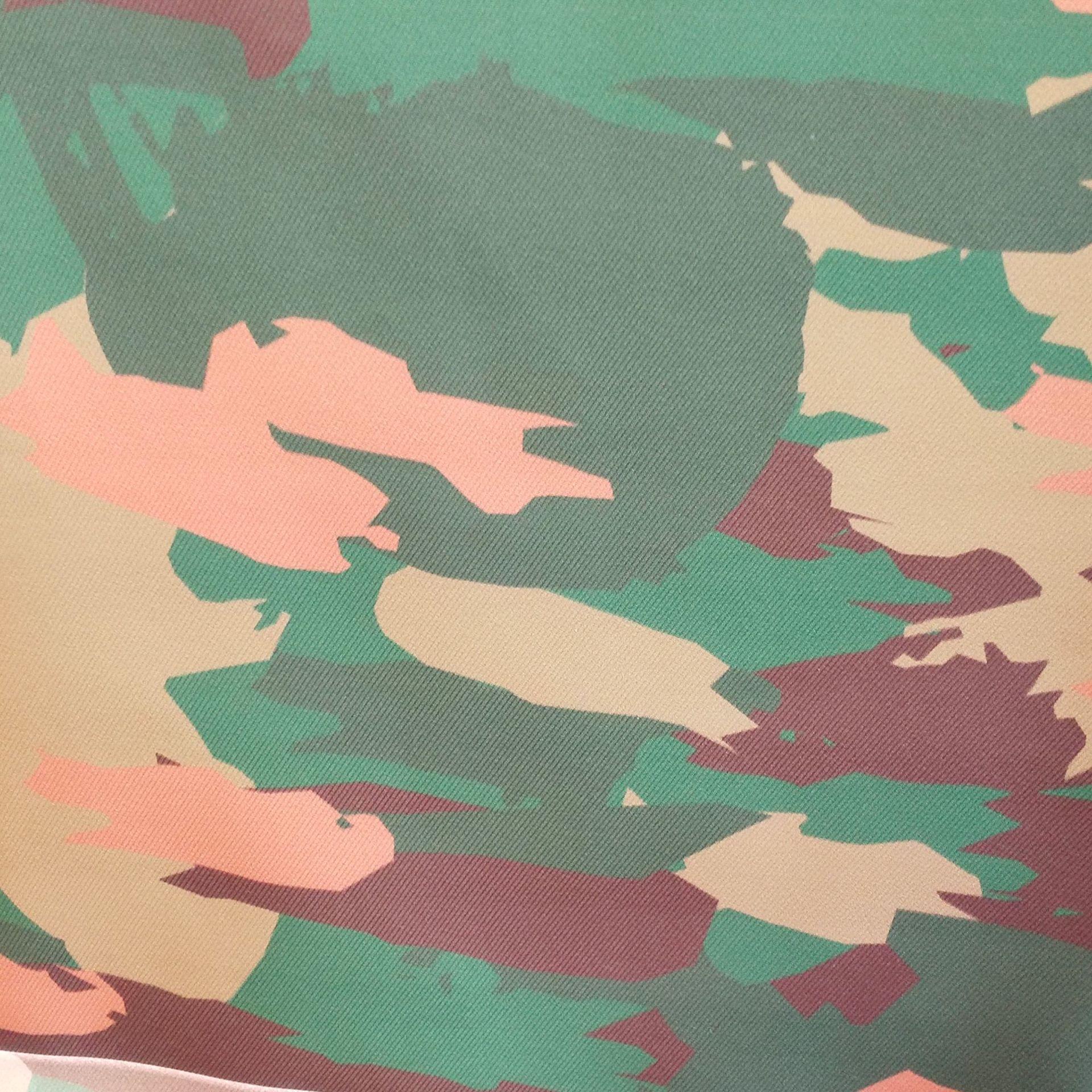 High-definition digital printing composite waterproof fabric for casual double-back mom bags, children's bags and other bag fabrics undefined