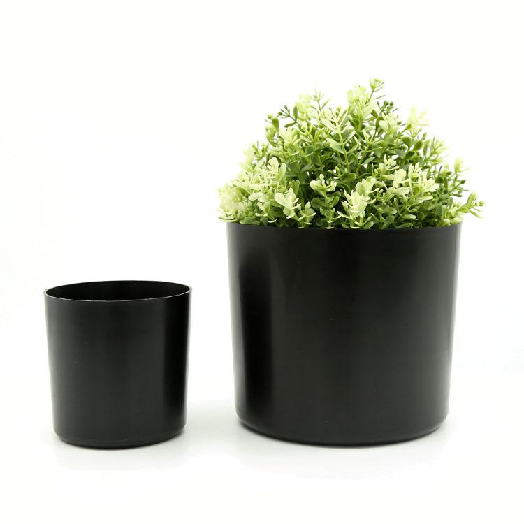 仿真植物实物图