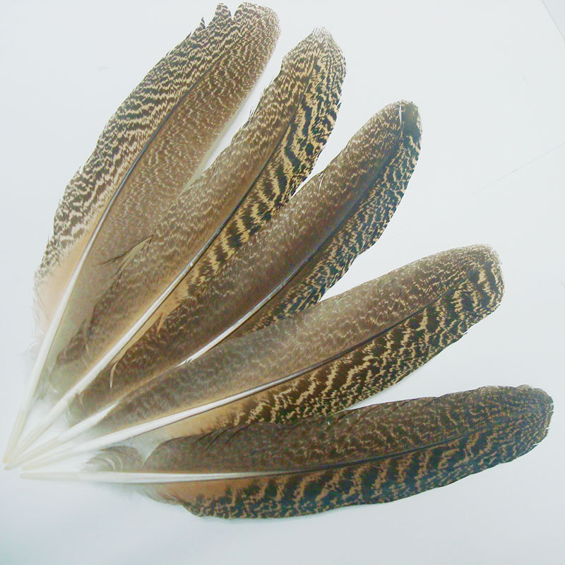 Manufacturers direct feather craft flower stage show accessories Handmade DIY jewelry materials pearl feather pheasant feather