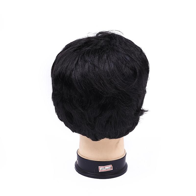 Qianfang Festival wigs, hats, black bald-covering short wigs, wholesale in stock, Indian men's hair, men's model wigs 1122 Application Scenario