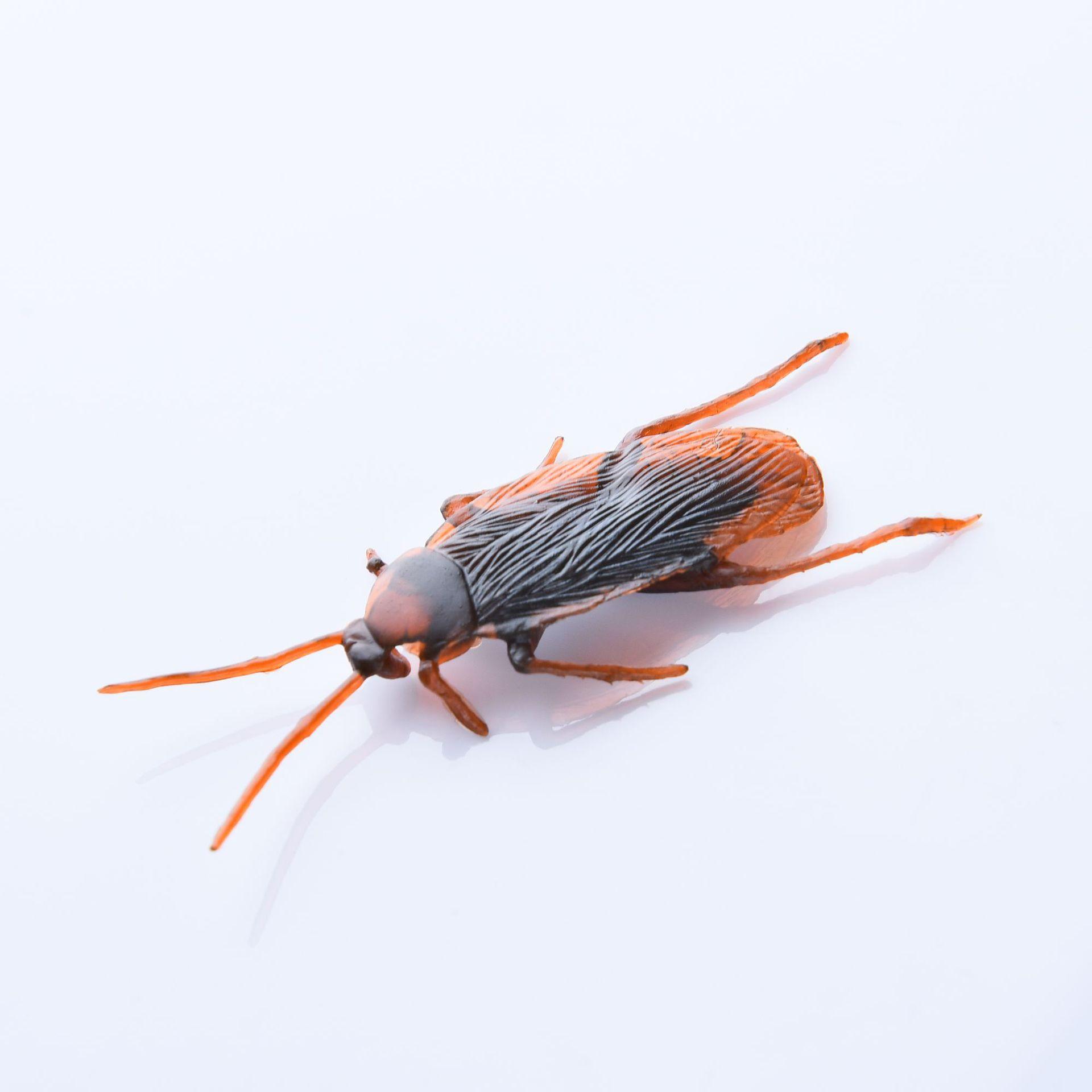 Wholesale of 1812 Cross-border prank props, including simulated flies and ants, novel and unique prank toys, and realistic cockroaches details Picture