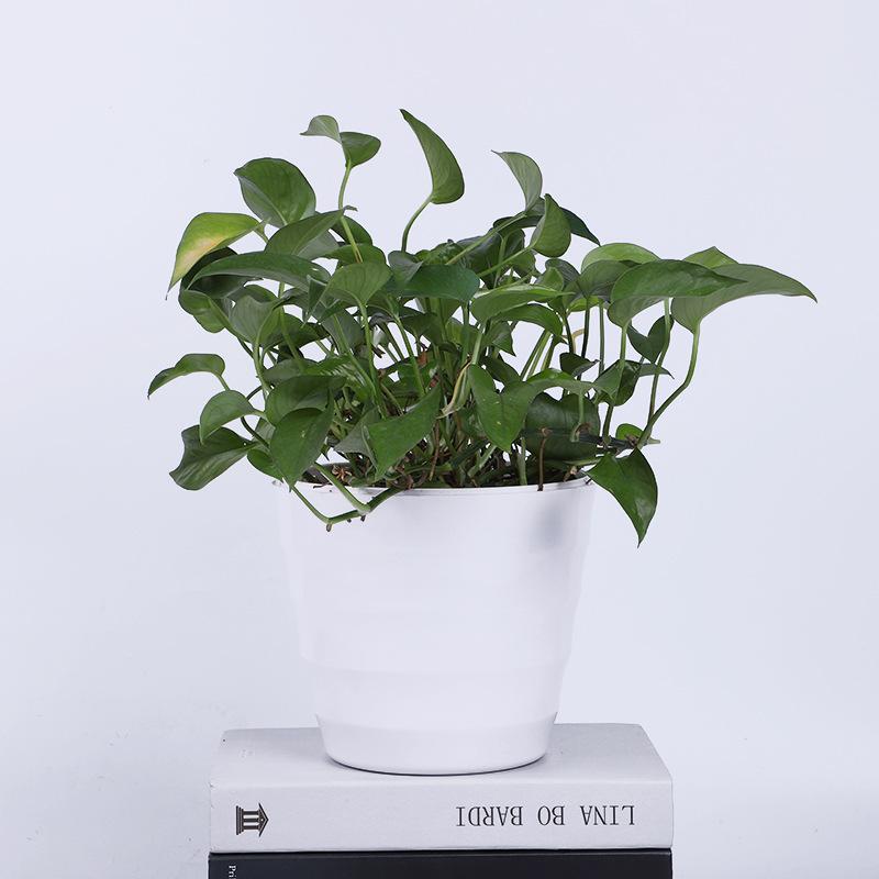 The coarse-textured Y02 series 10-sized faux porcelain plastic flowerpot is made of melamine material, with a solid color scheme and simple design Application Scenario
