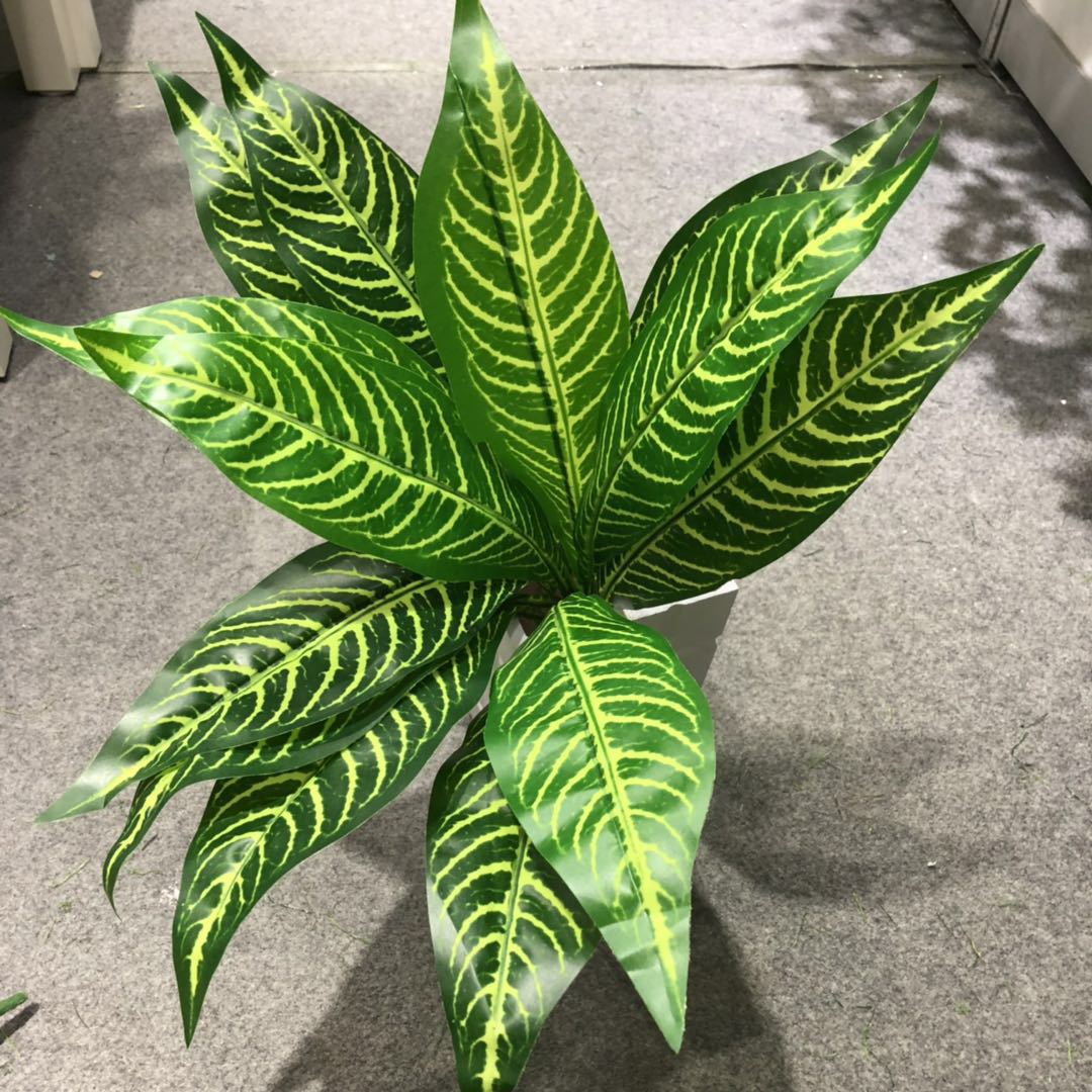 DIY artificial bird's nest fern, magnolia leaf, artificial plant wall accessories, small bonsai, green plants, hand-felt leaves, Brazilian wood Item Picture