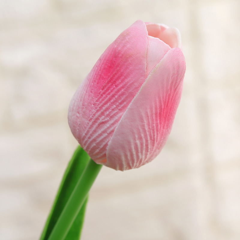 Emulación PU mini tulipán emulación flores flores falsas al por mayor comercio exterior transfronterizo boda flores de seda decoración del hogar flores Application Scenario