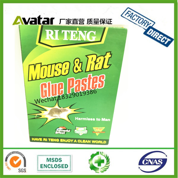 古 朝鲜 韩国 东南亚 菲律宾 越南 老挝 柬埔寨热卖老鼠板白底实物图