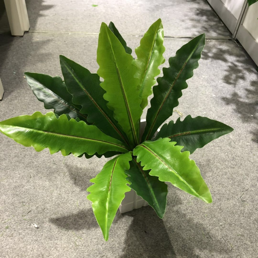 DIY artificial bird's nest fern, magnolia leaf, artificial plant wall accessories, small bonsai, green plants, hand-felt leaves, Brazilian wood details Picture