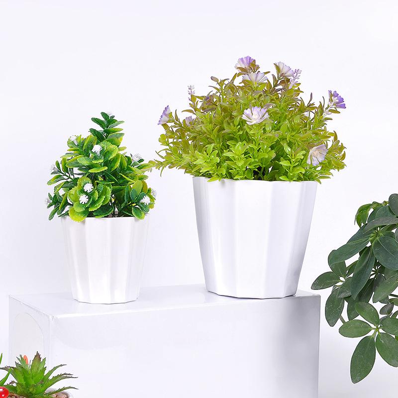 Factory direct sales of 5-sized Y31 series vertical striped circular color series flower POTS and plastic succulent flower POTS
