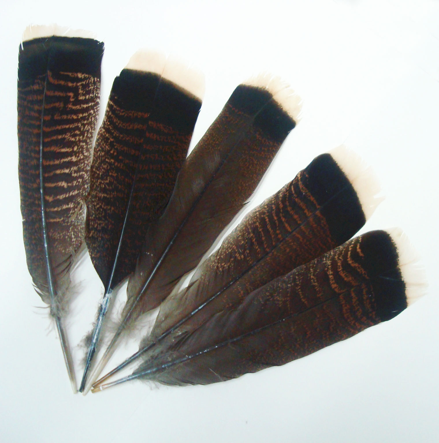 Factory direct feather craft flower stage show accessories Handmade DIY accessories shoes and hats decorative materials Turkey feathers