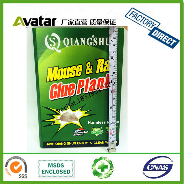 固体胶、胶水实物图