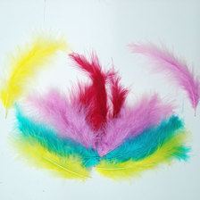 网红羽毛工艺品气球帽子服装包包填充物七彩染色羽毛鸡毛
