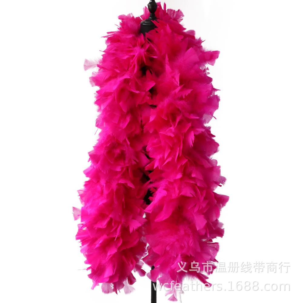 温册平板毛条羽毛拍摄道具T台走秀装饰羽毛条节日装扮服装辅料详情图8